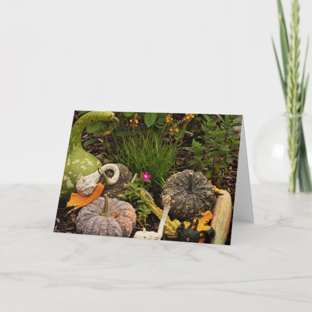Digitale Kunstkarte für Gourds und Pumpkin Karte (Vorderseite)