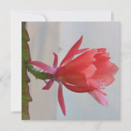 Digitale Postkarte