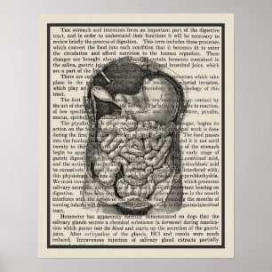Digitale Systemanatomie Art Print #1 Poster