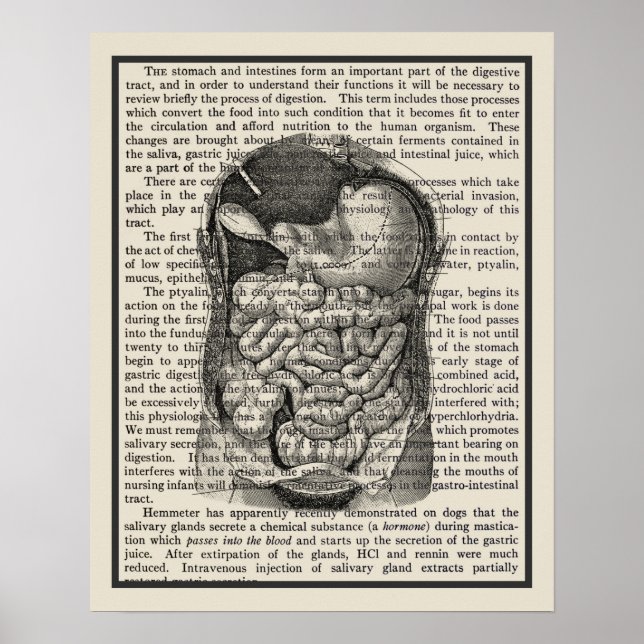 Digitale Systemanatomie Art Print #1 Poster (Vorne)