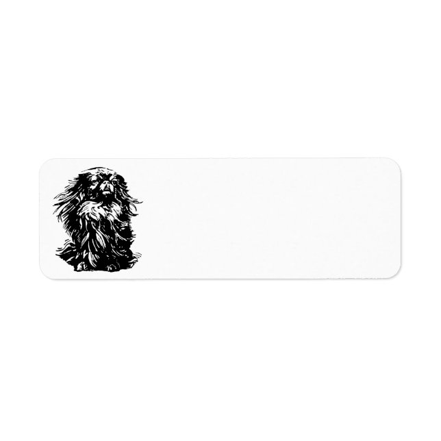 Dignity Pekingese (Vorne)