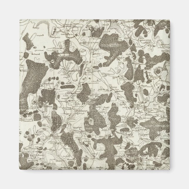 Dijon Magnet (Vorne)