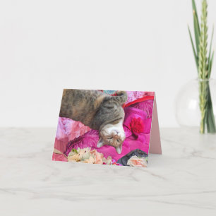 Dilemma der Prinzessin Tatus Cat Karte