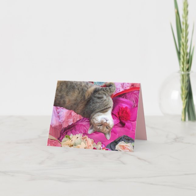 Dilemma der Prinzessin Tatus Cat Karte (Vorderseite)