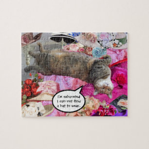 Dilemma von Prinzessin Tatus Katze