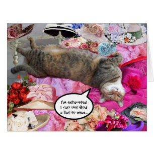 Dilemme de Princess Tatus Cat