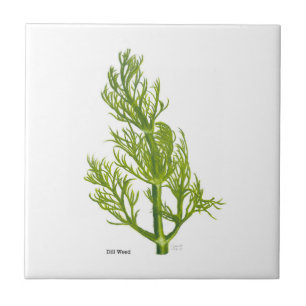 Dill Art Keramikfliese