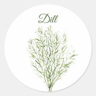 Dill Herb Grüne Küche Kulinarisch Grüne Pflanze Runder Aufkleber