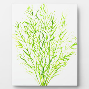 Dill herbs Dill Wasserfarbe Fotoplatte