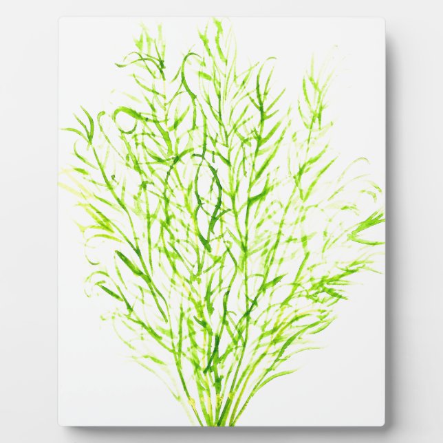 Dill herbs Dill Wasserfarbe Fotoplatte (Vorderseite)