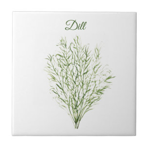 Dill-Kräuter Grünzeug Küchen-Küchen Grünpflanze Fliese