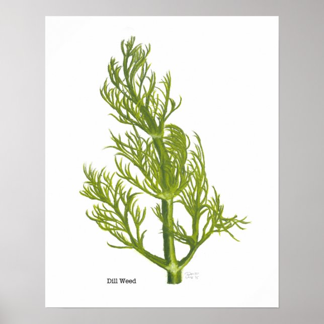Dill Poster (Vorne)
