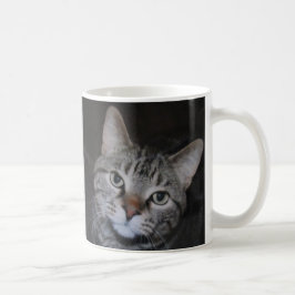 Dillan Die Cat-Tasse Kaffeetasse