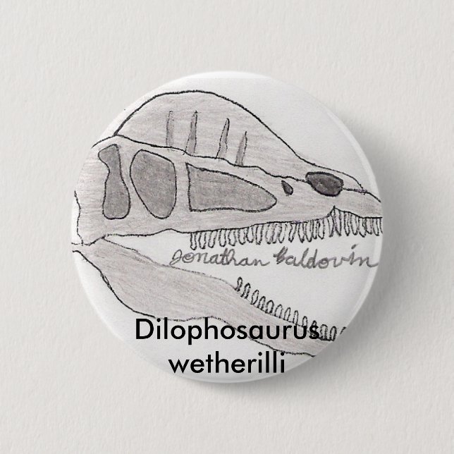Dilophosaurusknopf Button (Vorderseite)