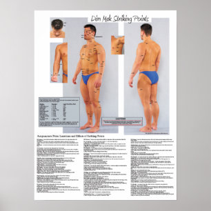 Dim Mak Death Striking Points Poster 18 X 24