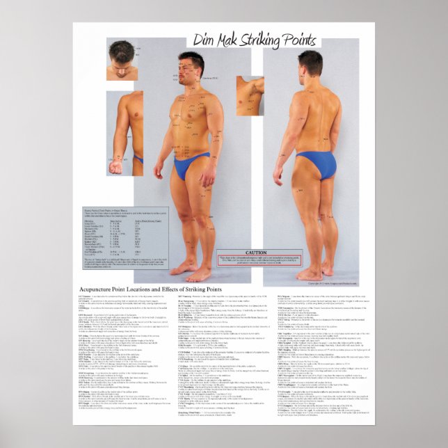 Dim Mak Death Striking Points Poster 18 X 24 (Vorne)