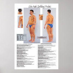 Dim Mak Death Striking Points Poster 24 X 36