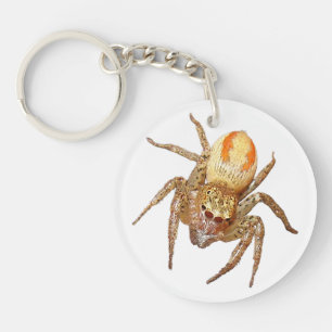 Dimorphe Springspinne (Maevia inclemens) Schlüsselanhänger