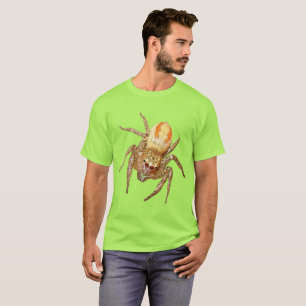 Dimorpher Springspinne (Maevia inclemens) T-Shirt