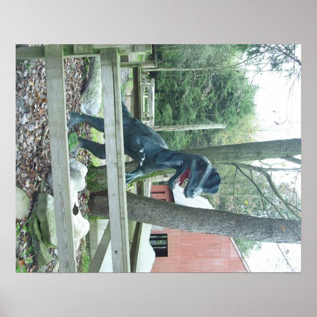 Dinasaur Poster (Vorne)