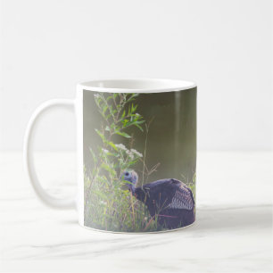 Dindon Sauvage Se Cachant Dans La Tasse De Gazon