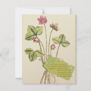 Dîner botanique rose Fleur Invitations