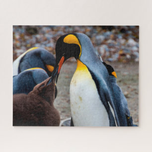 Dîner de pingouins en famille, puzzle