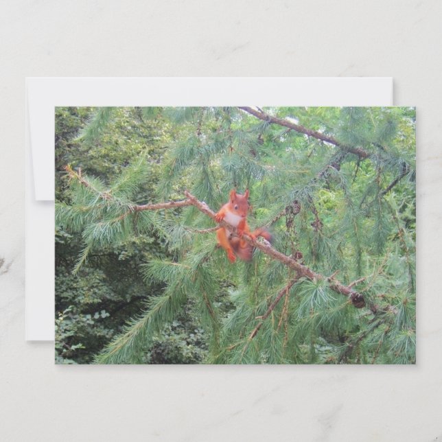 Ding in There Feiertagskarte (Vorderseite)