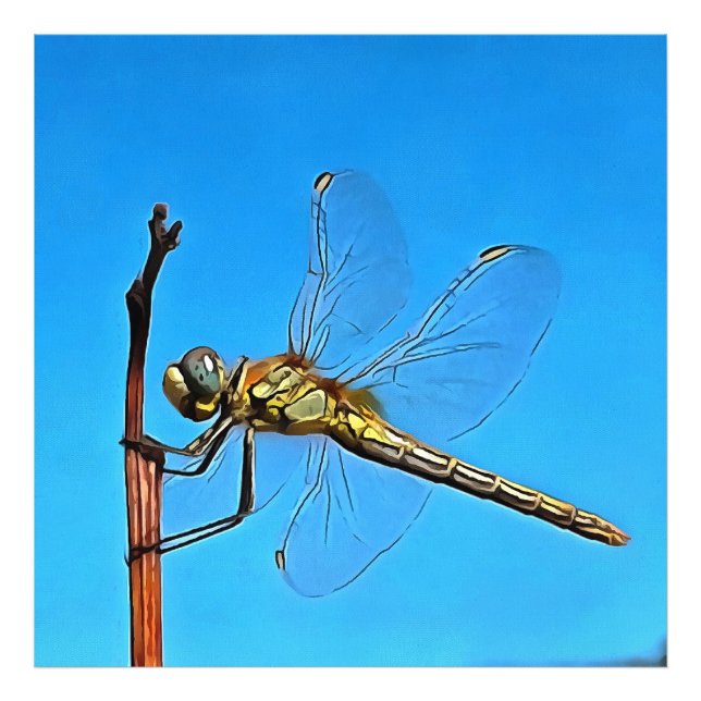 Ding on it Artistic Dragonfly Fotodruck (Vorne)