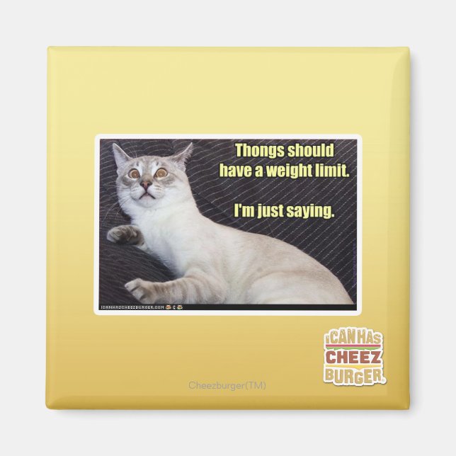 Dinge sollten eine Gewichtsgrenze haben. Magnet (Vorne)