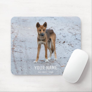 Dingo Wild Dog Australia Fraser Island Animal Mousepad