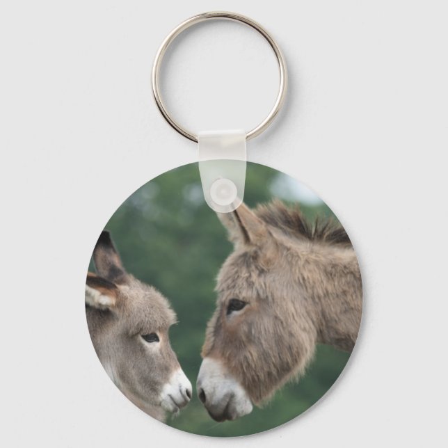 Dinky donkey schlüsselanhänger (Vorderseite)