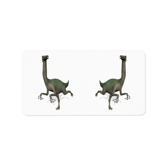 Dino Dinosaur Gallimimus Adressaufkleber (Vorne)