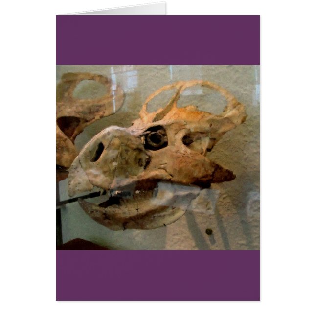 Dino Skull (Vorne)