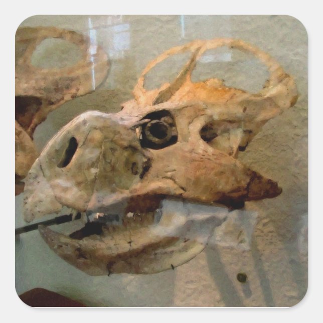 Dino Skull Ölgemälde Quadratischer Aufkleber (Vorderseite)