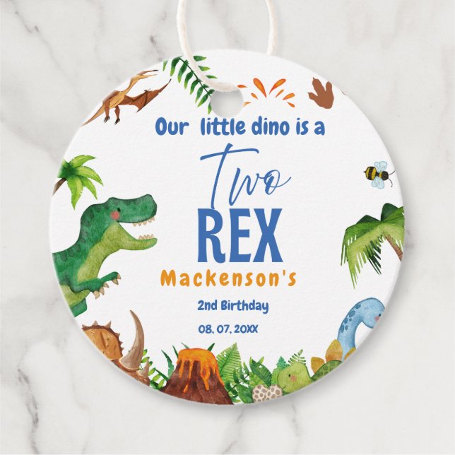 Dino Two rex 2nd boy Dinosaur birthday party Geschenkanhänger (Vorderseite)