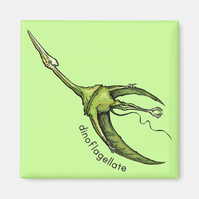 Dinoflagellat Magnet (Vorne)