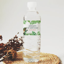 Dinosaur 1. Geburtstags-Party