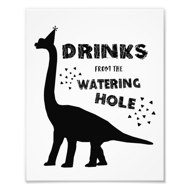 Dinosaur Birthday Party Sign Fotodruck (Vorne)