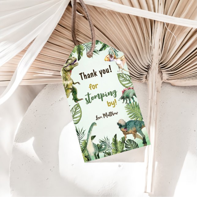 Dinosaur Boy 3. Geburtstag Party Geschenkanhänger (Von Creator hochgeladen)