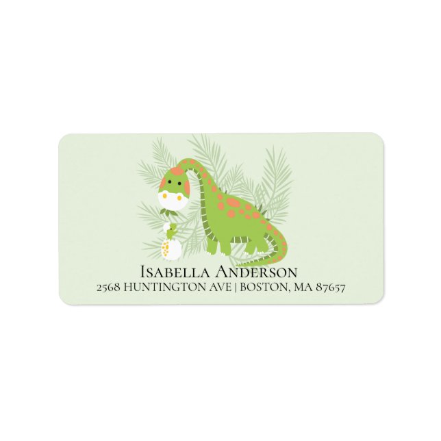 Dinosaur Boys Baby Dusche Adressaufkleber (Vorne)