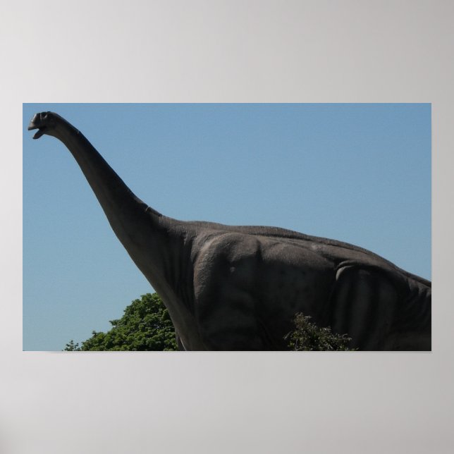 Dinosaur Brontosaurus Poster (Vorne)