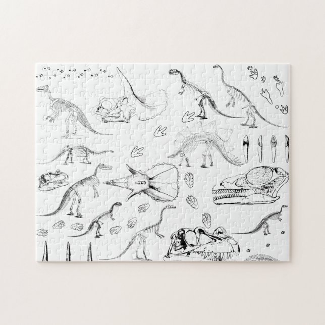 Dinosaur Fossil Bones Pattern (Horizontal)