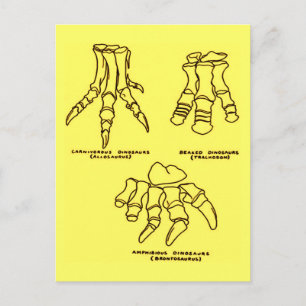 Dinosaur-Fußknochen Postkarte
