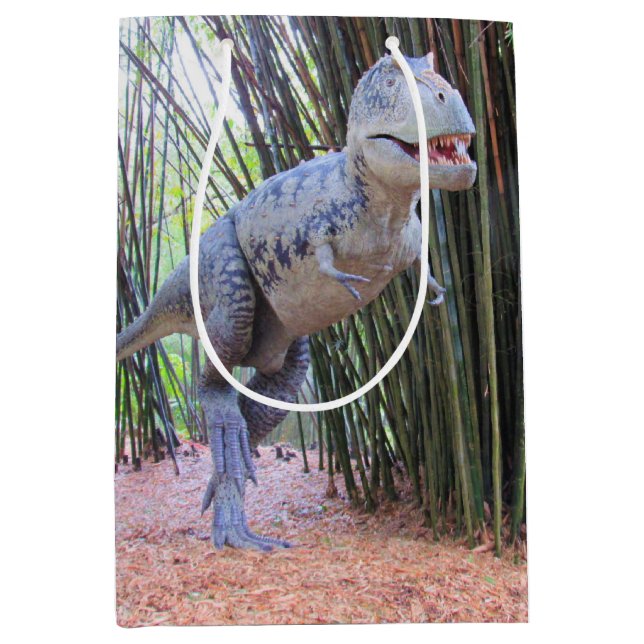 Dinosaur-Geschenktasche - Daspletosaurier Mittlere Geschenktüte (Vorderseite)