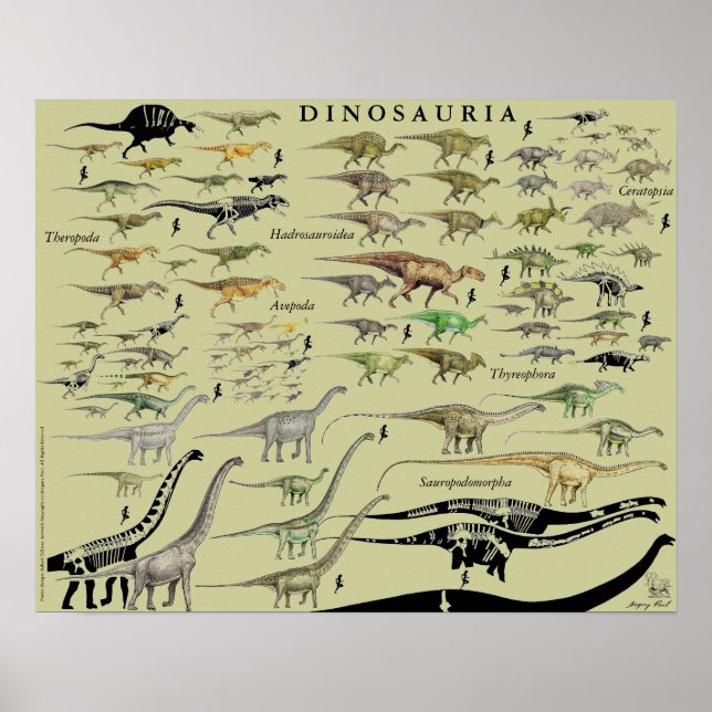 Dinosaur Groups Scale Poster Chart Gregory Paul #2 (Vorne)