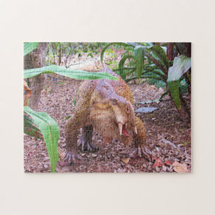 Dinosaur Jigsaw Puzzle - Placerias