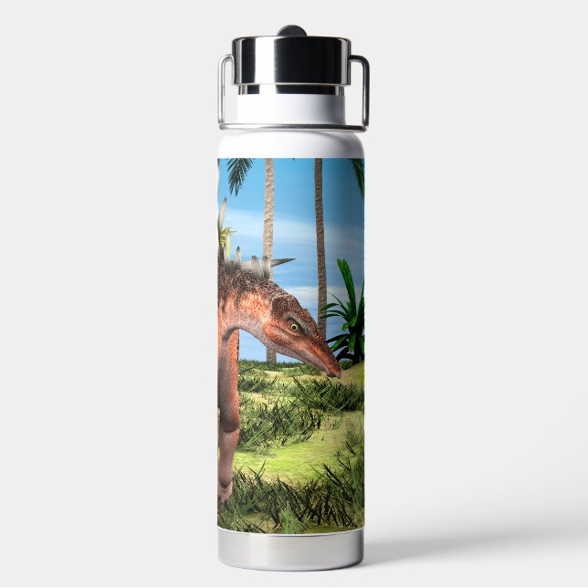 Dinosaur Kentrosaurus Trinkflasche (Hinten)