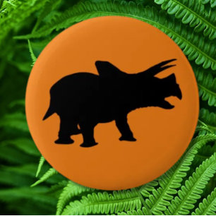 Dinosaur Party Orange Button