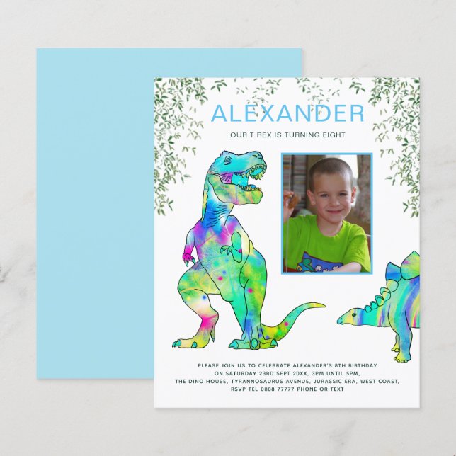Dinosaur Roar Birthday Party Foto Budget (Vorne/Hinten)